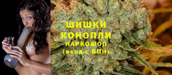 бошки Горнозаводск