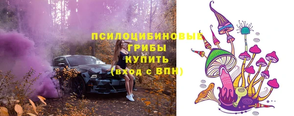 бошки Горняк